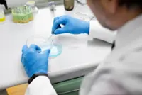 Australian scientists grow world's first fully functioning human skin in lab with blood supply