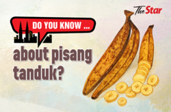 Do you know... about pisang tanduk?