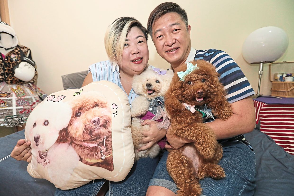 Kow and her husband KK Lee with Donutes (left) and Mylo.