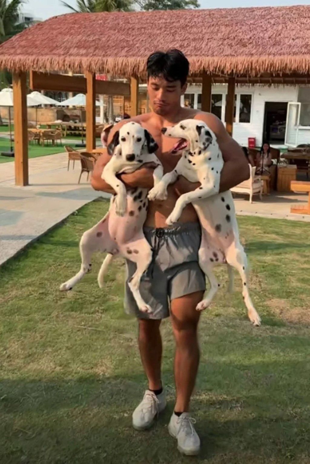 Following his courageous rescue, the public’s focus shifted from his bravery to his striking looks, especially in photos where he is often seen with dogs. - Photo: Handout