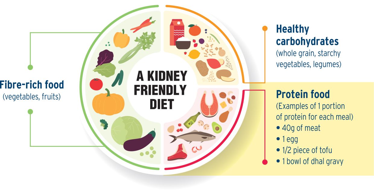 Figure 1: A healthy kidney plate for CKD patients at each meal.
