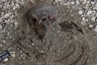 41 Neolithic skeletons set to return home to Guar Kepah