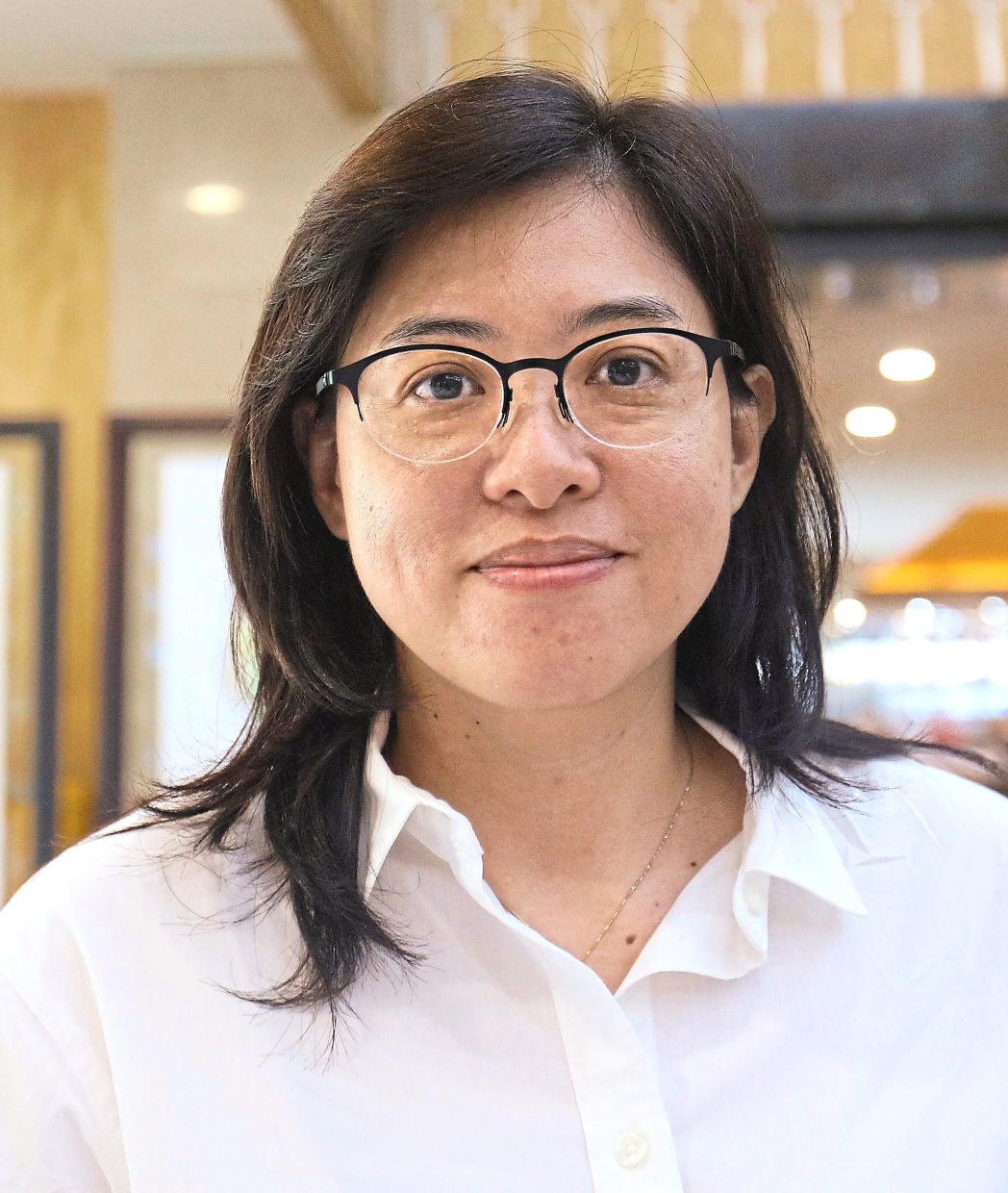 Low says any study for a proposed sports complex will show that roads around Jalan Nyaman are operating at full capacity.