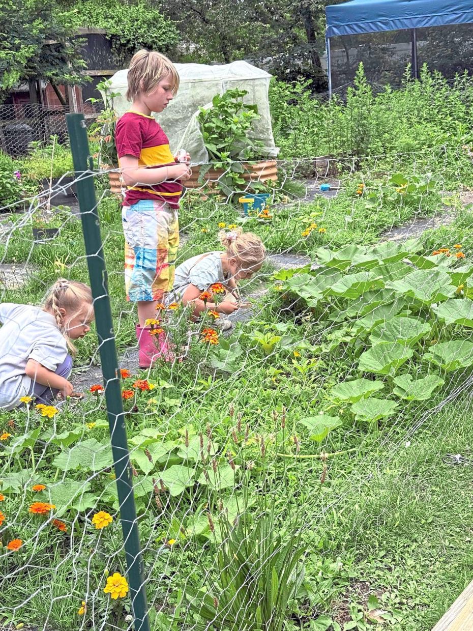 Gardening teaches patience, responsibility and the satisfaction that comes from nurturing something over an extended period. Photo: JESSICA MARTIN/AP