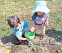 How to make children enjoy planting and gardening