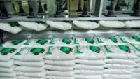 MSM Malaysia braces for tough 2025 sugar industry challenges