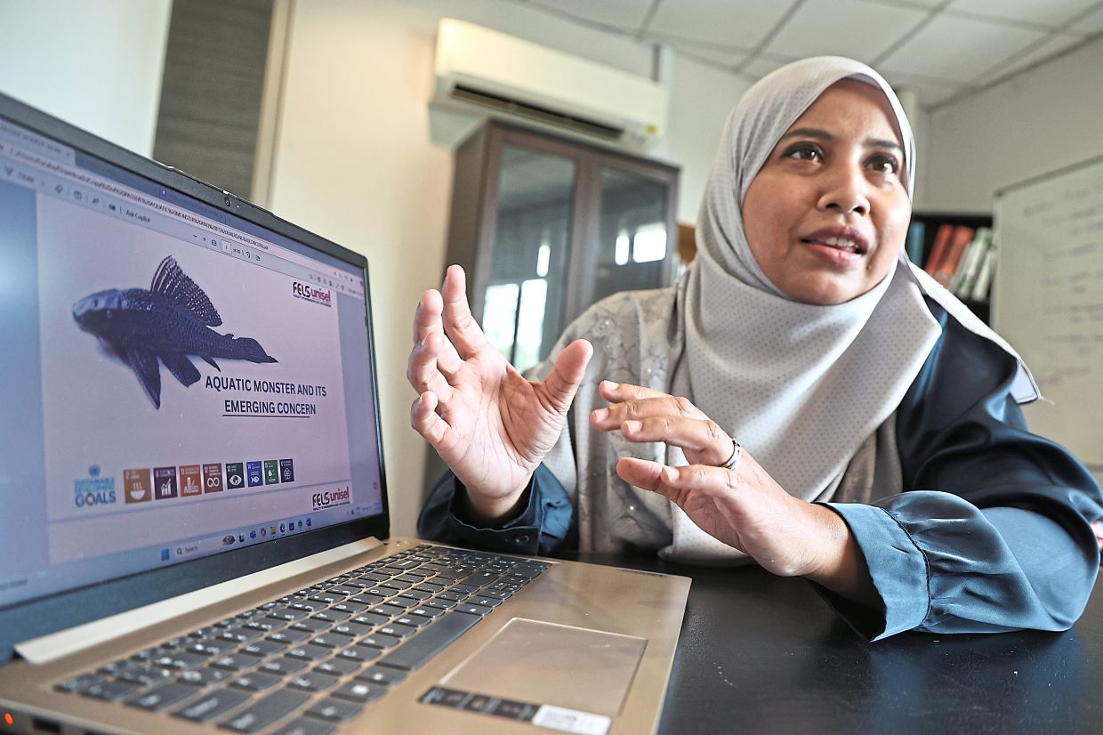 Intan says Unisel has a formula to produce fish feed using ikan bandaraya. — AZMAN GHANI/The Star and courtesy photos