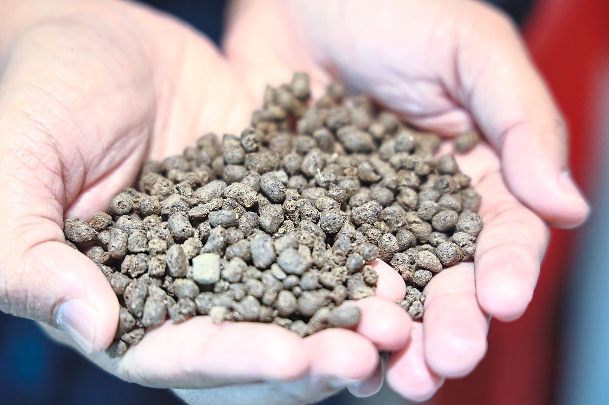 A close-up of the fish feed which is at par in price and nutritional content with others in the market.