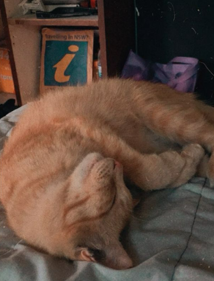 Mocha was Naadhir Azhfar's safe space during his most stressful school year. — MUHAMMAD NAADHIR AZHFAR AHMAD FUAD