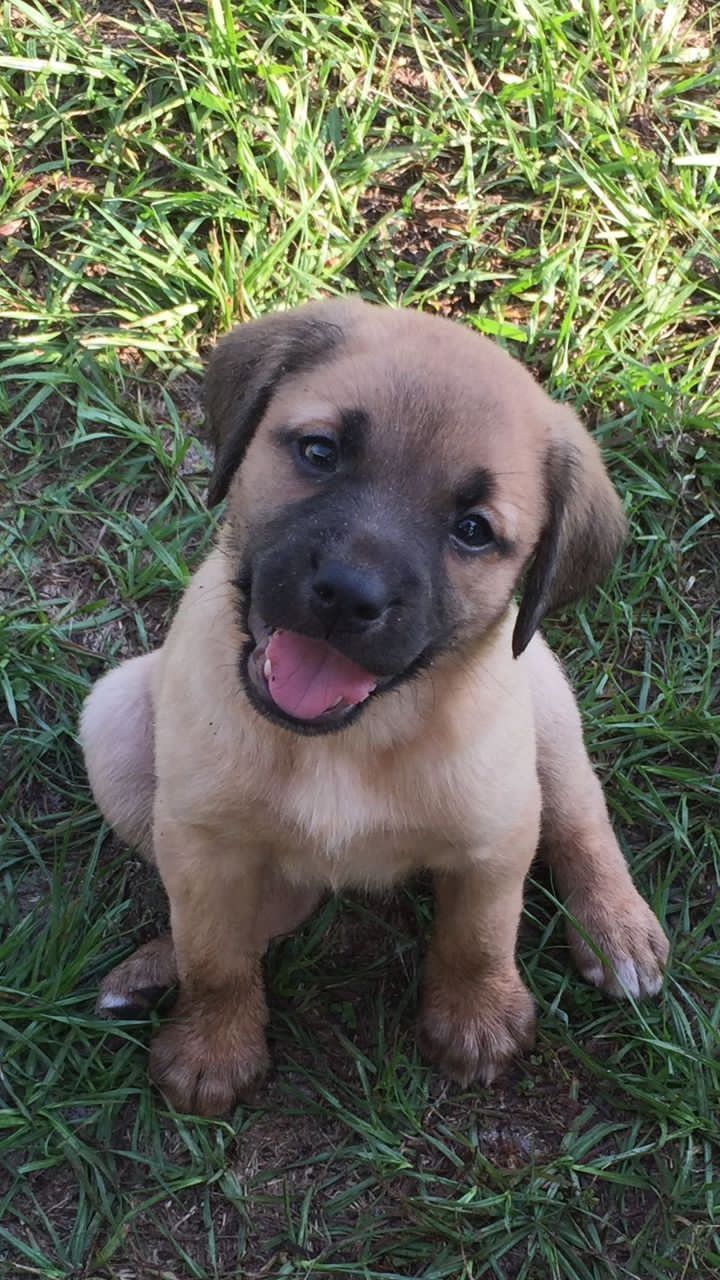 George stayed by Allysha Minda’s side when her grandfather passed away. — Photos: ALLYSHA MINDA SANDOM