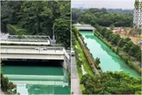 Singapore environment agency launches probe after water in Yishun Close canal turns green