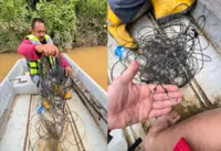 Fish traps posing threat to T'ganu's river terrapins, says NGO