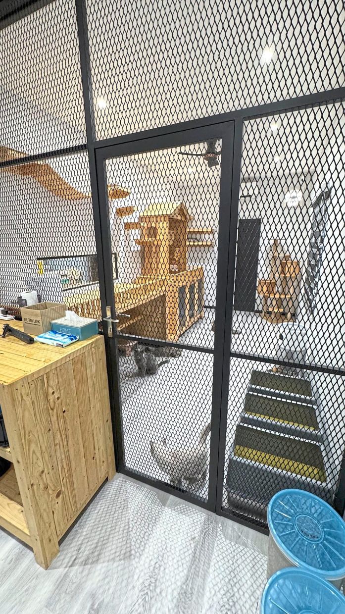 Neatly stocked utility zone with everything a multi-cat household needs. Photo: Ahmad Rashidi Abdul Rashid