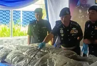 Perak cops seize RM15mil worth of drugs this year