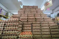 Egg supply stable, local output exceeds demand, says Agriculture Ministry