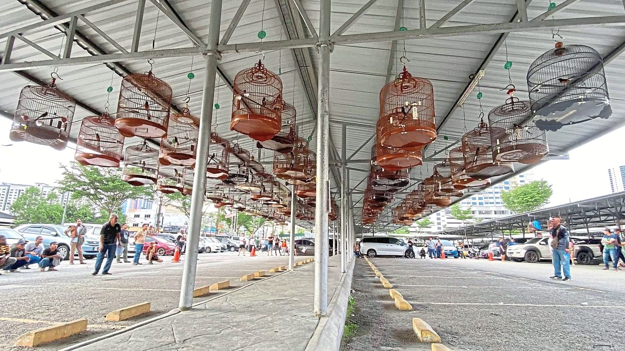 The bird competition by Taman Gasing Indah Rukun Tetangga to mark National Day.
