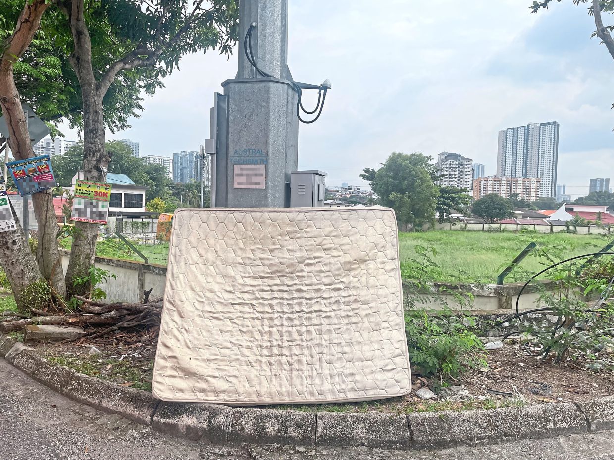 Despite the country’s 68 years of independence, daily struggles like putting up with people indiscriminately dumping rubbish reminds us that harmonious living is not automatic.