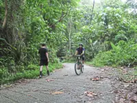 Residents call for transparency in Bukit Dinding development plan