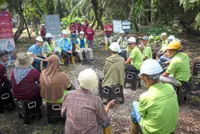 Empowering independent palm oil smallholders 