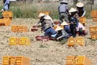 South Korean man jailed for one year for kicking a female migrant worker in the face