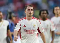 Soccer-Benfica's Turkish winger Akturkoglu joins Fenerbahce