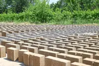 Houses made of rice: Kyrgyzstan's eco-friendly alternative construction material