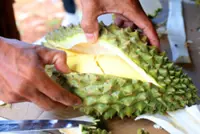 Malaysian cuisine takes centrestage this National Month