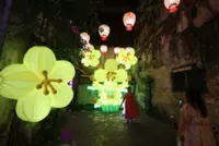 Golden blossoms rain down at KL’s Kwai Chai Hong lane