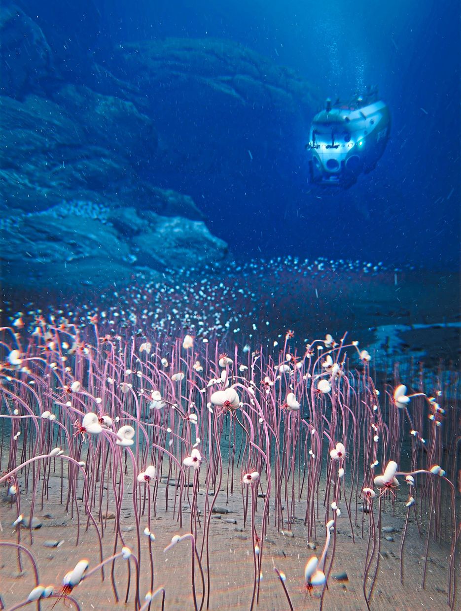 An undated illustration shows the deepest chemosynthetic communities of organisms at the bottom of a deep-ocean trench, with the crewed submersible Fendouzhe above. — Institute of Deep-sea Science and Engineering, CAS/Reuters.