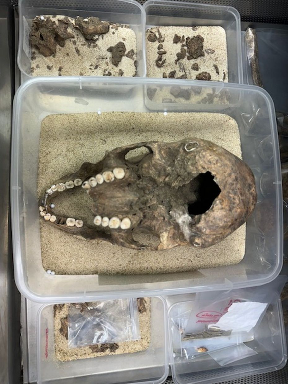 Some of the bone specimens from Penang Woman that were returned to Malaysia from the Netherlands. — PIC PROVIDED