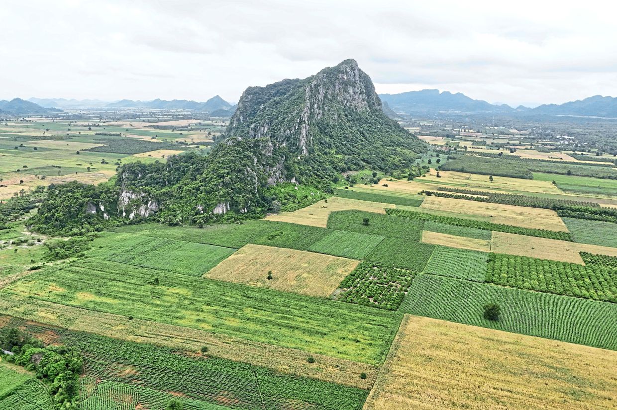 An aerial view of limestone karst formations.