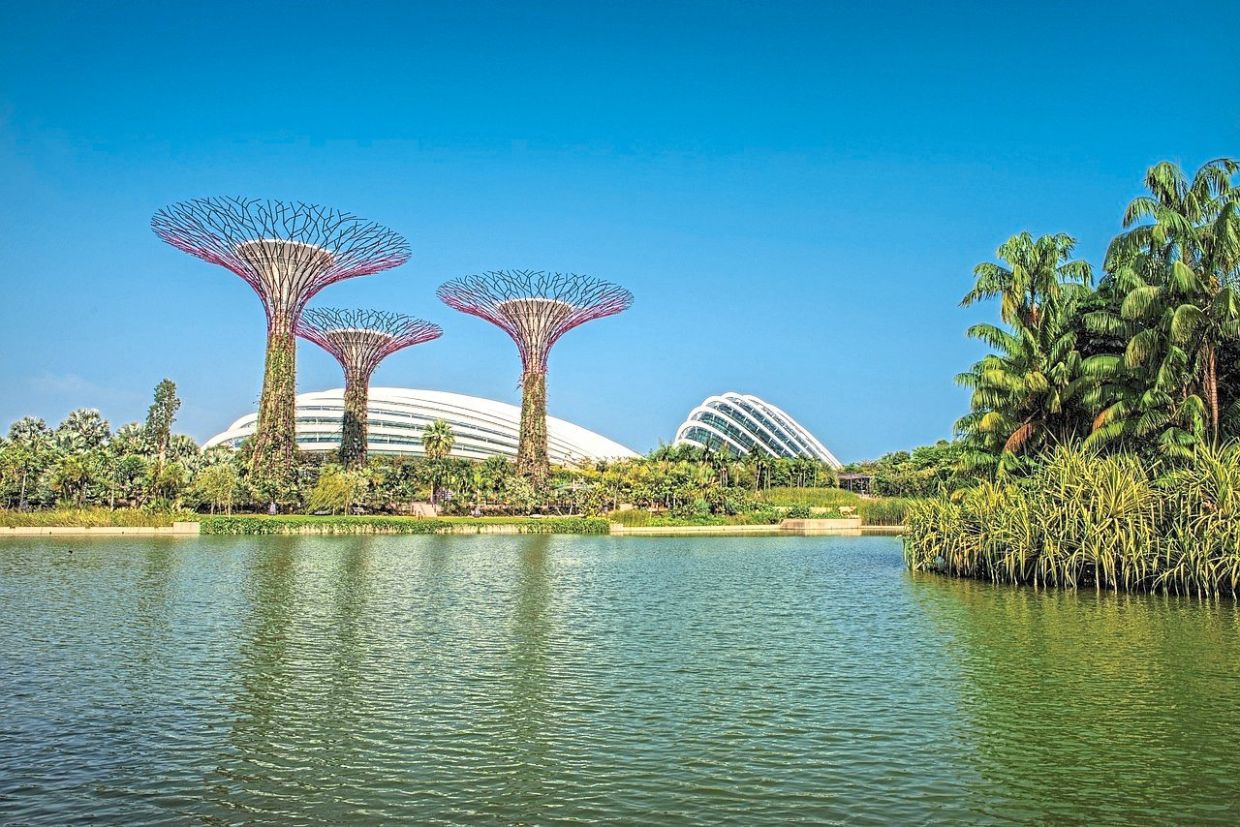 Singapore’s Supertrees serve a variety of purposes that includes collecting rainwater and controlling temperatures around the garden.