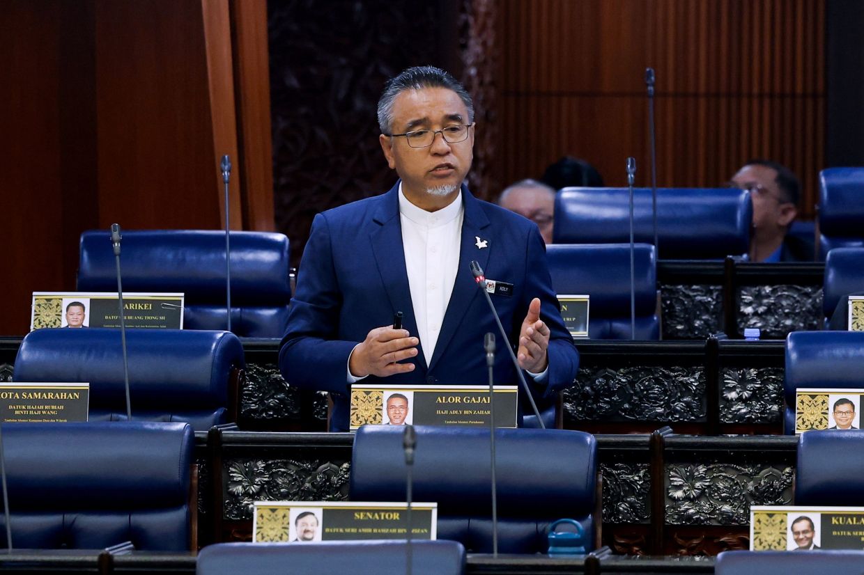 Malaysia prepared for Palestine peacekeeping, to boost training role, says Adly