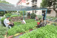 New Bill a blow to small farmers