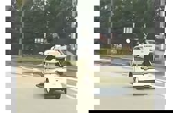 QuickCheck: Did a family of three ride in an electric cart on the public road in Johor?