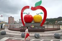 Apple of discord