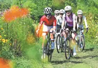 Active lifestyles turn sport into economic boost