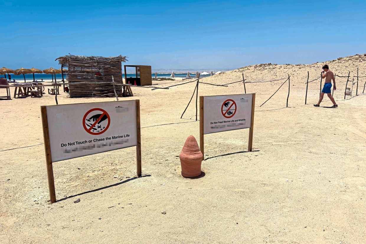 Signs urging visitors to respect wildlife at the Ras Hankorab beach in the Red Sea Wadi Al-Gemal protectorate in southern Egypt. — AFP