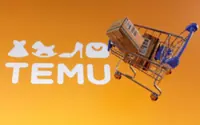 Turkey's Horoz in delivery deal with Chinese online market Temu