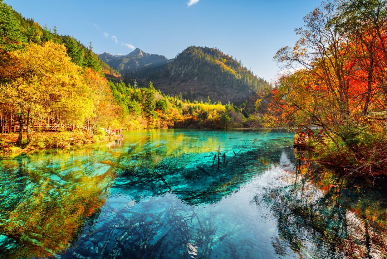 Vibrant autumn foliage frames the crystal-clear turquoise waters of the Five Flower Lake in Jiuzhaigou National Park, China.