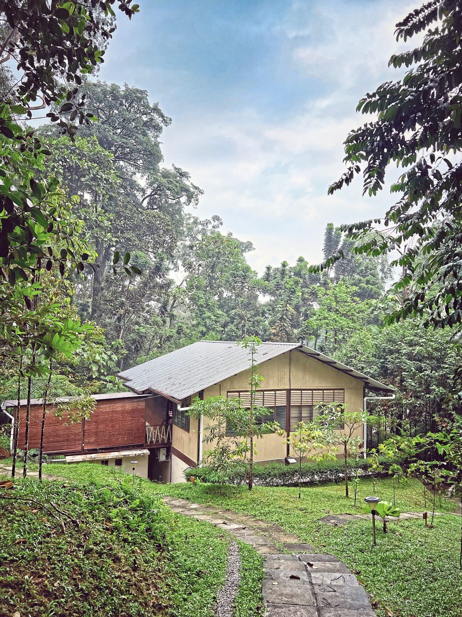 Legasi festival opens with ‘A Path Through the Forest’ nature walk and music event at Maxwell Basecamp on Sept 12. Photo: Shireen Zainudin