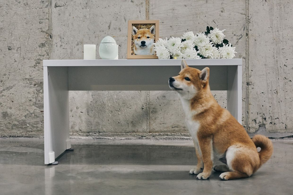 Photo: Getty Images Bank