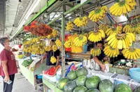 Nation’s fruit industry ripe for reform