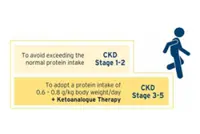 Slowing the clock on chronic kidney disease