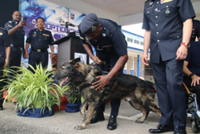 K9 unit 'retiree' Goran pioneers Bukit Aman adoption programme