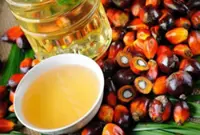 GOF foils RM2.6mil crude palm oil misappropriation in Batu Pahat