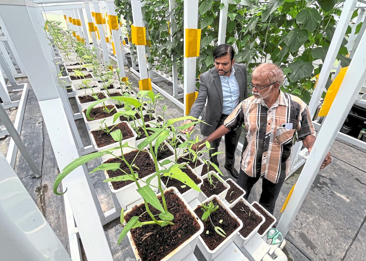 Bashir looking on as Poopalan explains details about his work on the MBPP farm in Pulau Tikus.