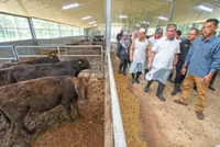 ‘Curb livestock smuggling to protect farmers’