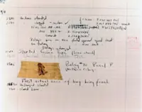 When codes cracked: The historical journey of the term 'computer bug' explained