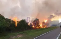 Bomba battles forest fire in Bandar Puteri